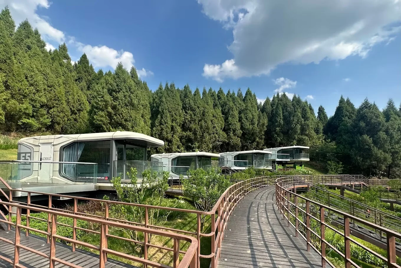 Out of the Ashes of Disaster: Homes 4 the Homeless with Steve Schneider